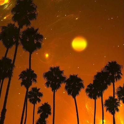 愤怒的小鸟运货车